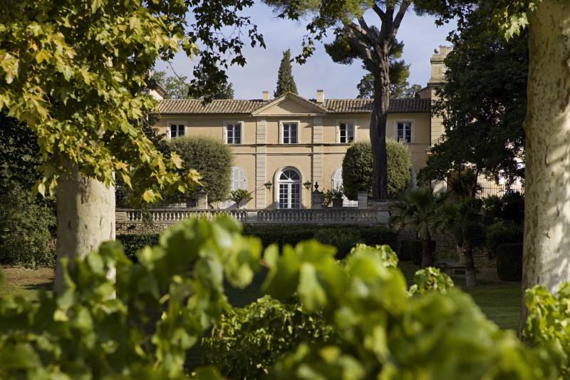 Vineyard Chateauneuf-du-Pape Chateau La Nerthe