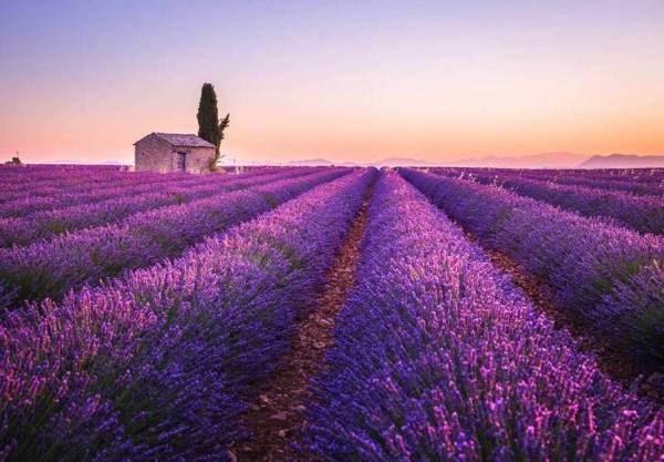 Travel agency for private tours in Provence with minibus