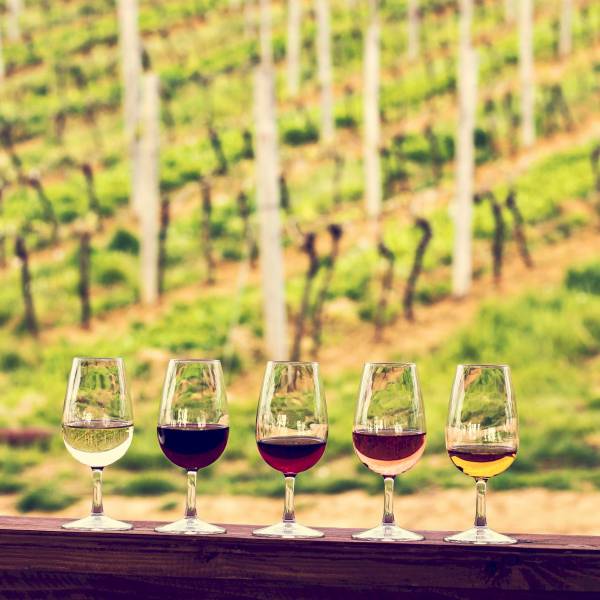 Wine Tasting Experience in Châteauneuf-du-Pape A Historical Journey in Avignon: Private WineTour from Nice