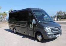 Half-Day Trip with a Luxury Sprinter Minibus 16 Seat from Nice