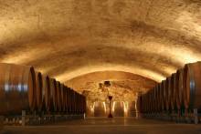 Châteauneuf-du-Pape Wine Day Tasting Minibus Tour With Driver-Guide