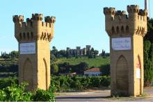 Châteauneuf-du-Pape Wine Day Tasting Minibus Tour With Driver-Guide