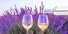 Admiring the skill and craftsmanship of winemakers in Provence, who bring out the best of the region's terroir in every bottle