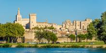 Marveling at the scenic landscapes of Provence's vineyards, with rolling hills and picturesque rows of vines