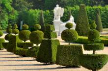 Strolling through the breathtaking gardens of Versailles, a true paradise