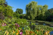 Immersing in the enchanting beauty of Giverny Gardens, home to Monet's iconic water lilies
