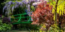 Immersed in the vibrant colors and peaceful atmosphere of Monet's Giverny