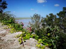 Captivated by the ethereal atmosphere and dramatic tides of Mont Saint Michel
