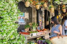 Food and Wine luxury Private Tours with private driver in Provence - France