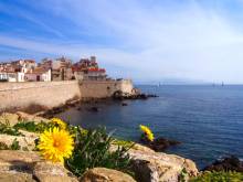 Private Provence Wine Tour Shore Excursion From Antibes with English speaking driver guide