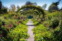 A Private Day Trip From Paris to Giverny Gardens & Palace of Versailles